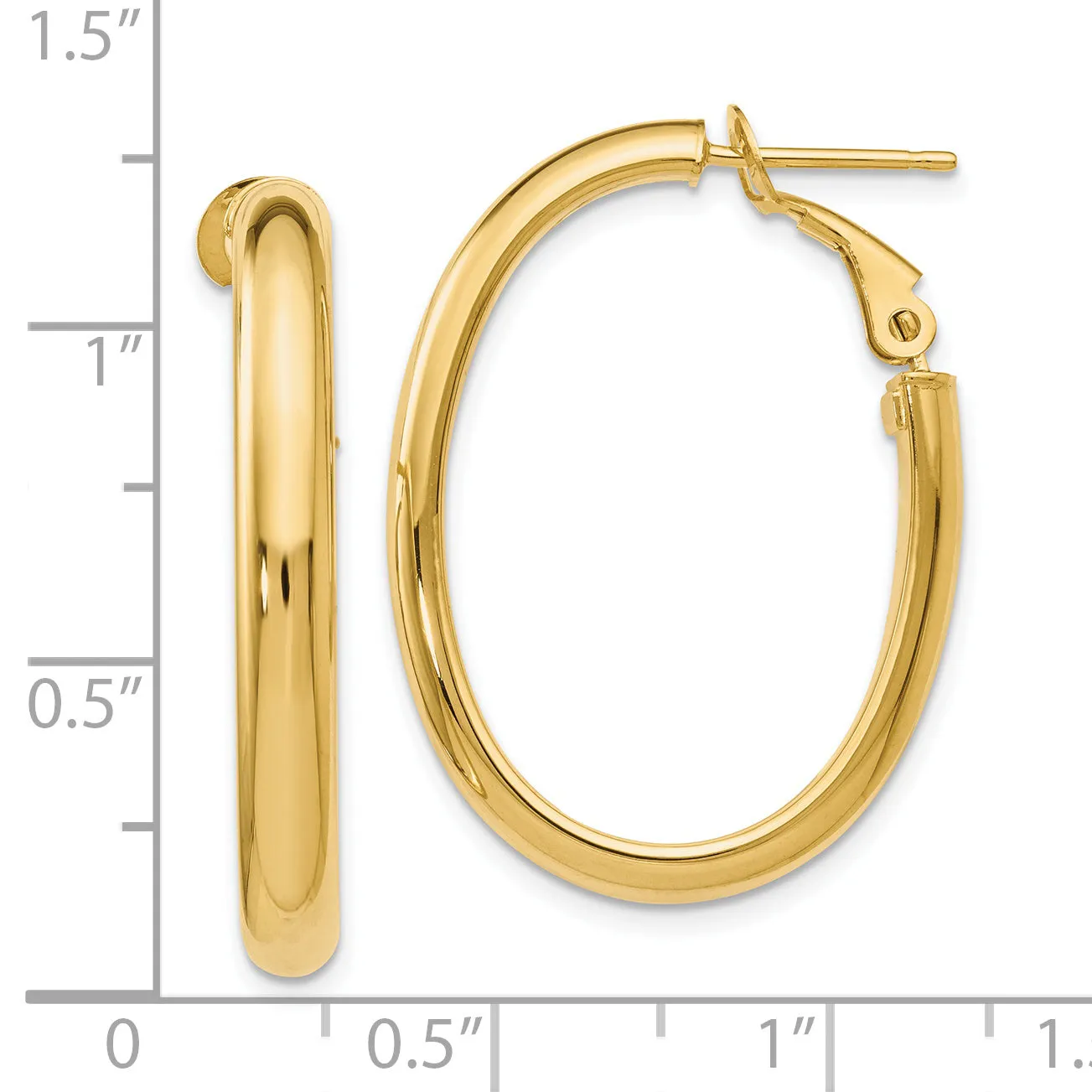 14K Gold Polished Oval Hoop Earrings with Omega Clip Back
