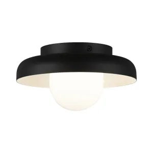 Creston Ceiling Mount