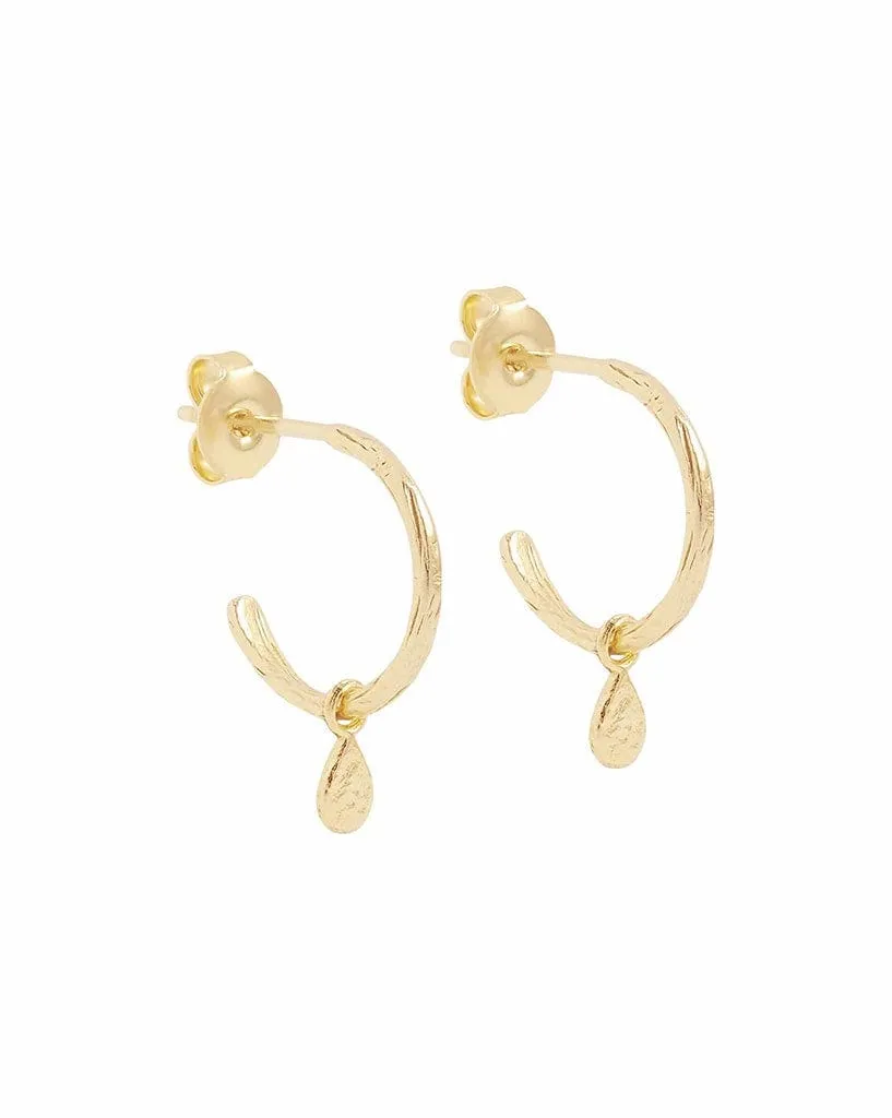 Gold Grace Hoops