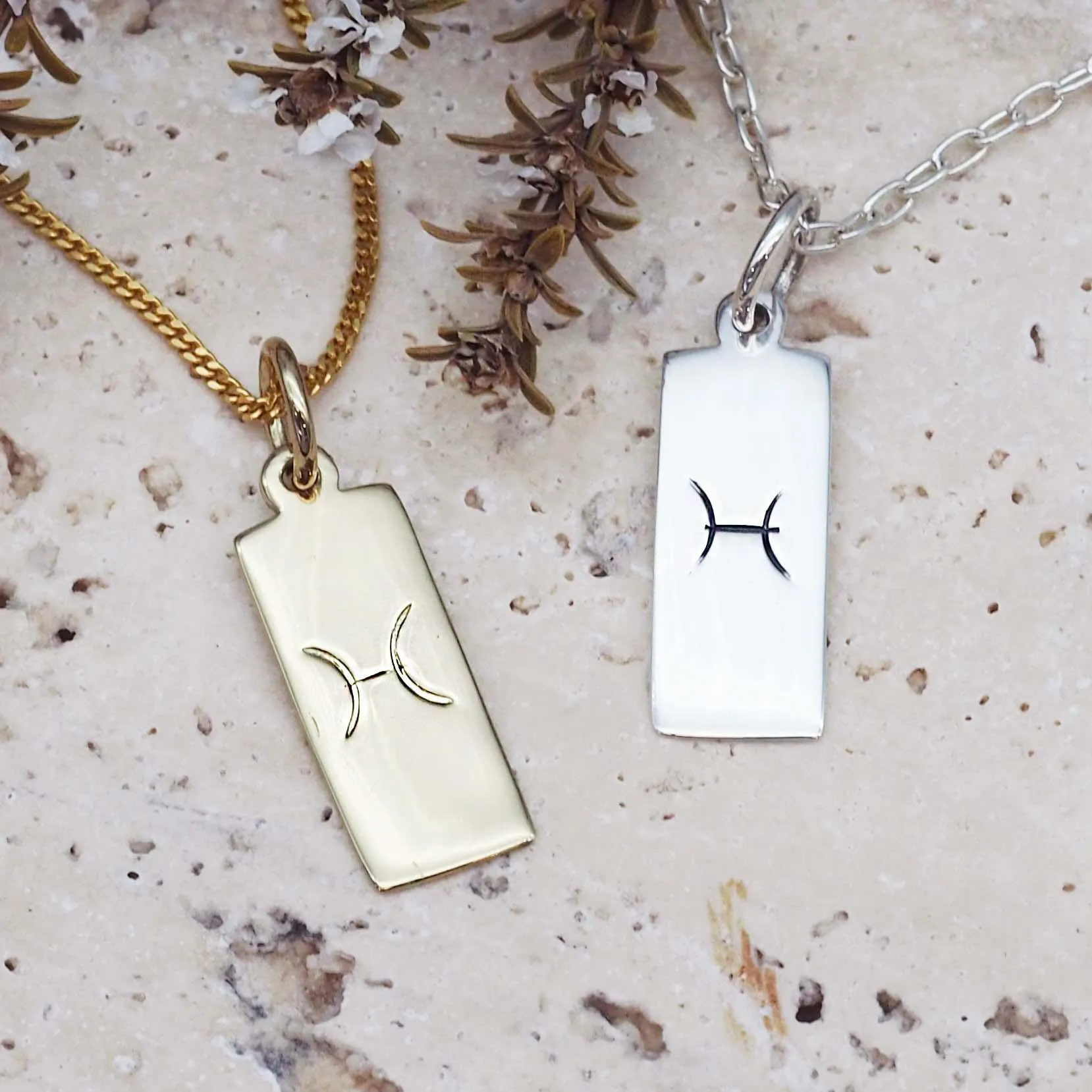 Pisces Star Sign and February Birthstone Necklace